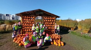 545ca15d-35a3-4576-9134-cf89926c4a82