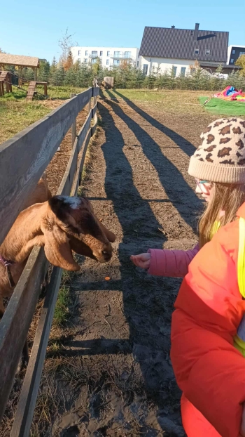 fe5233d7-1761-4330-860e-94e5c211519c