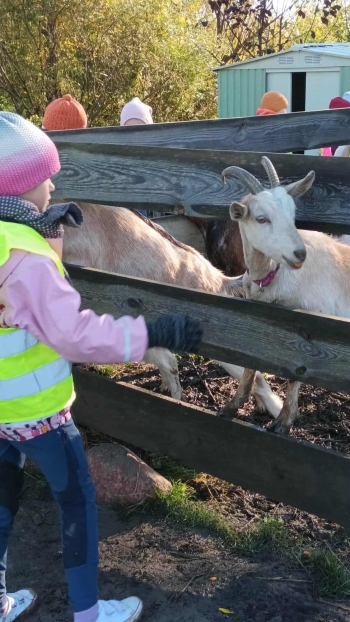 6dcbdabc-1d77-48a9-80cb-410db22fd5eb