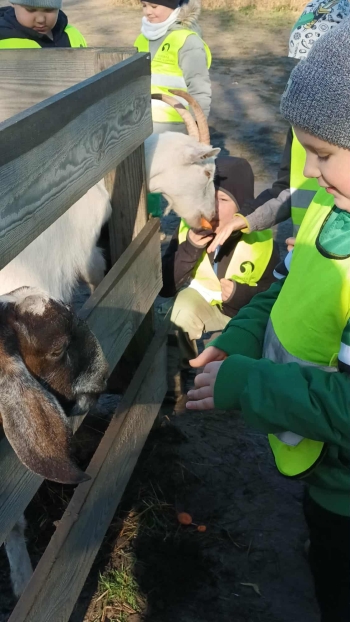 61ac0e01-b535-43fb-b8fc-a61894a05f15