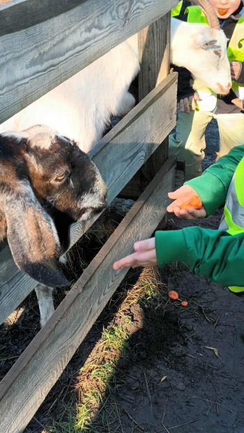 dbb46b6a-32f9-4231-a57b-7c27b0523b5a