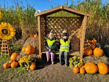 baa00178-d61c-43fc-9f3f-7b784eb85754