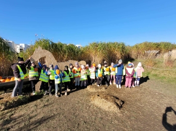 e5d42651-b278-4aa2-bbbc-46e8b6e0624c