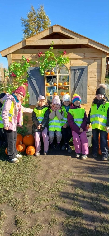 5cccda1e-e500-4112-8329-79908c0df05a