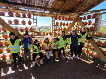 8bb9622c-408e-4aac-868a-ad34c9a20170