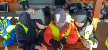 440d3708-5bdd-4f34-b0b5-b02c5c5fbd5e