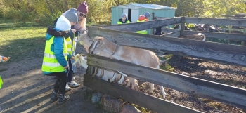 44c4f48c-6f5b-43bf-9d16-cb47dd1ef373