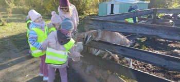 743aea5d-e89d-44b7-9926-13fc0e8c6306