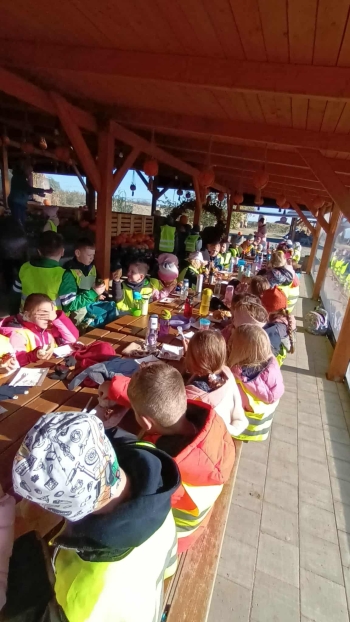 f88f30fa-2c15-4a45-8405-f5d0311253c1