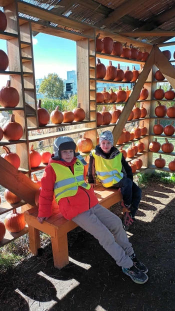 d0a988f5-f078-4ad9-9b43-794d5059fa37