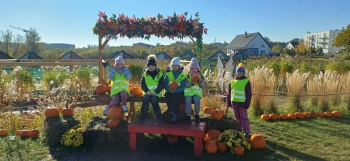 46686fe5-64bf-4908-b388-381dfd354c23