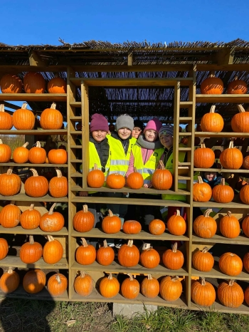 3a9c5a68-6686-4903-aeaf-8f99fe9ebe0e