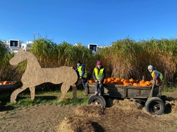 2482fa77-2fb4-4622-b3eb-bd2808fd2469