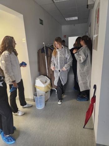 8b93019f-d31a-486a-877e-852d56d5004b