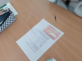 f1551510-c9a2-45f4-9401-70725278f826