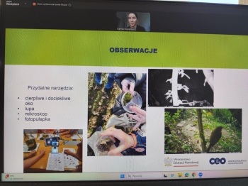 c3d02196-cf20-4646-a284-b6ae032bce9b