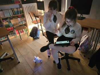 ad8cbed5-31ff-4360-b654-ada99d469a6a