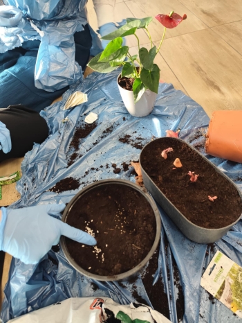 303aa5f4-e9b2-44a8-852c-eb449174866a