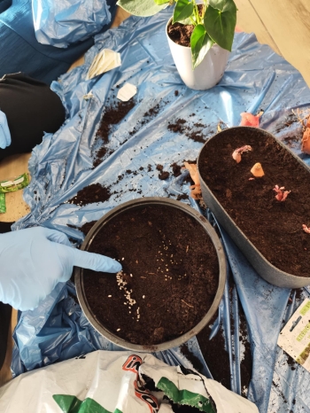 bf837b43-bb95-4845-a00a-c02c5027b637