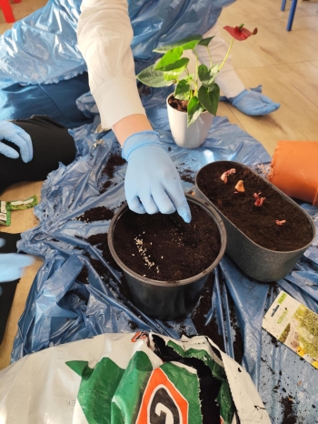 1a44ffcf-d4db-4c67-a4e9-1baa24e293c4