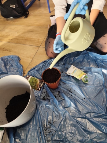 d3f20e2d-d343-4730-b375-a7960cd0bcec