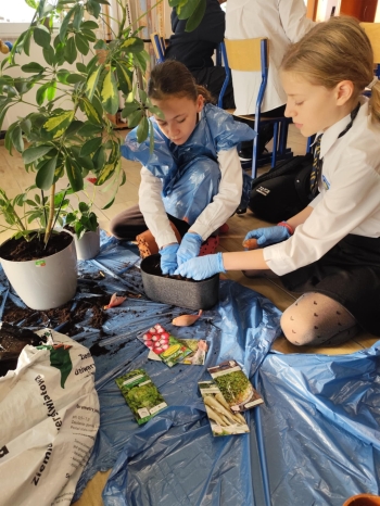 ffa12cae-db0b-4866-a5c1-165db8900c0b