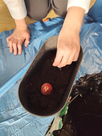 533bec01-b81c-4dec-b233-d35424a081d7