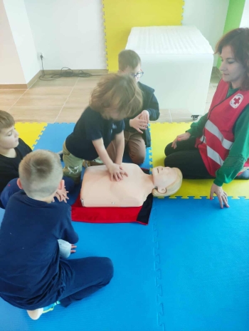 795b5a03-9bff-47a5-9a34-087095277ee2