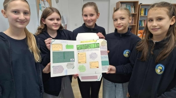 6bfc519d-37fb-4389-8b04-3a404d8ee44e