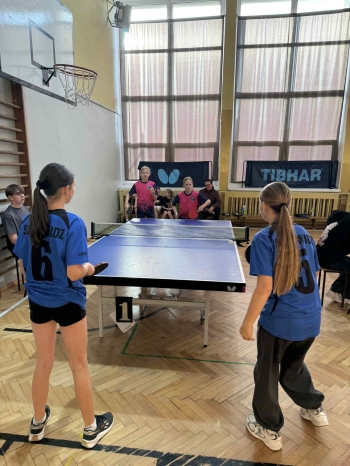 7a560527-45fc-4e13-897f-5663b85dd237