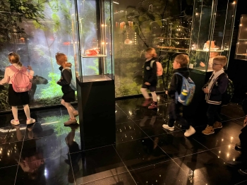 4c1dffb1-58c0-4e4d-a99e-e06f512ca0b5