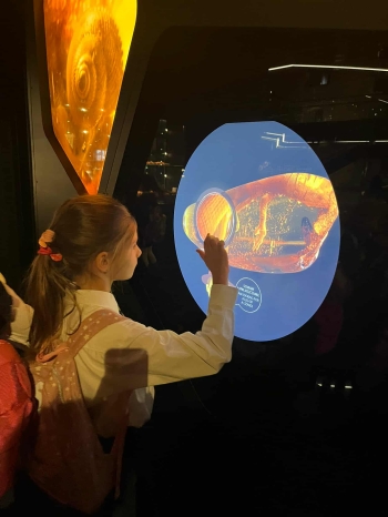 d615bc84-f52a-4643-84f0-77deaa0c8985