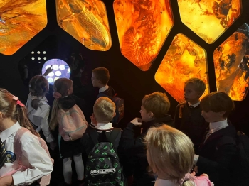 5d45f798-4613-43e7-ae20-8d032a2cac84