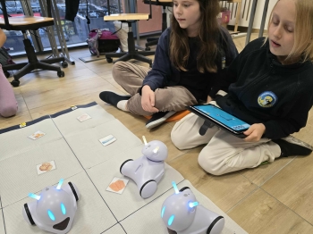 628852b1-3947-4d08-9859-2b0f2e93888d