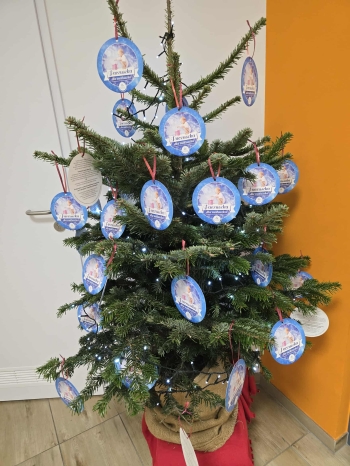 5109fc6f-e3e2-412e-8641-cc5563f3387b