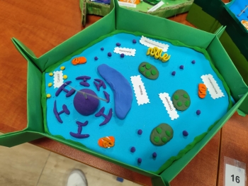 bb82e929-f38e-48e6-80ca-657b6cd298c2