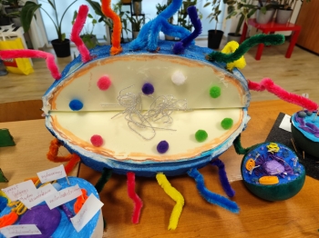 35dc795f-2f35-445a-8081-d6571eec7175