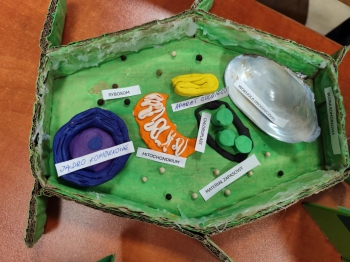 fc0edfa9-3e92-44c5-9aa4-bc8a7e38df2f