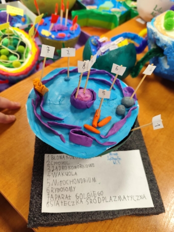 03b49b6a-ec09-4853-b7c8-ce661f071f97