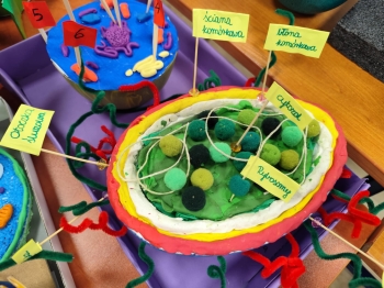 41d2a0c1-235a-4b92-b0f0-32322f3ce7ba