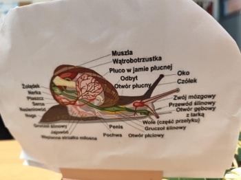 e3a9afd1-4e62-4ab5-9338-727958b76b24