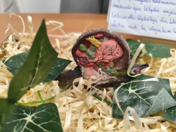 2d763925-117b-4b71-a156-e318eb92efd7