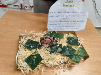 49994293-98ee-4ac6-9c1f-72f7688e714f