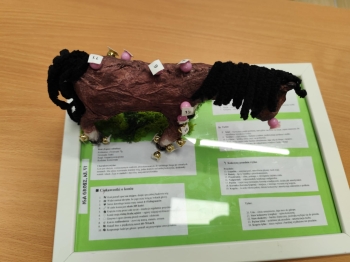 d52cb20b-6be0-4e79-98c5-6c7f8080157f