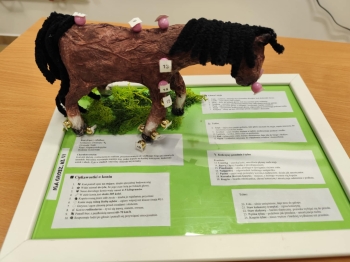 6d8f92b5-7bab-40b6-a670-85e629f00bd9