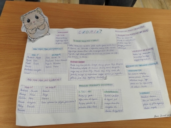 9c6c5fca-0c97-48b8-8045-3845ca92e091