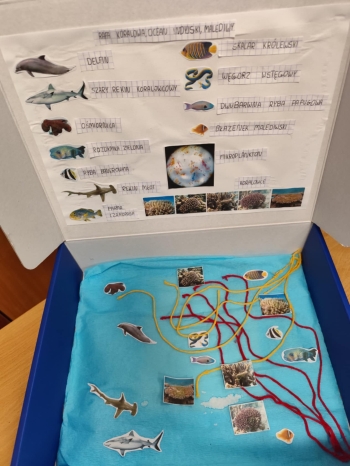 647aa5b9-90e5-47ec-8058-7f651de9033a