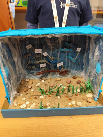 beff635e-6619-404d-8921-4050230c9c50