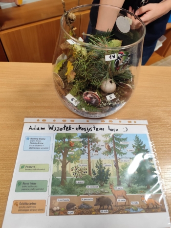 12b26868-7d21-4de9-99bb-f4bc247a2798