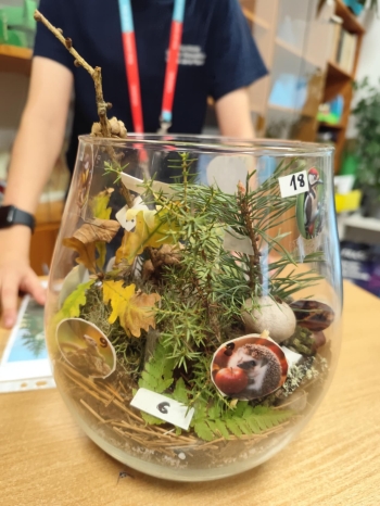 bdc5e3be-ac89-40b8-a835-fafa98c3e763